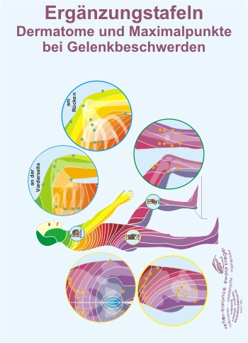 Reflexzonen Erg&auml;nzung - Maximalpunkte bei Gelenkbeschwerden