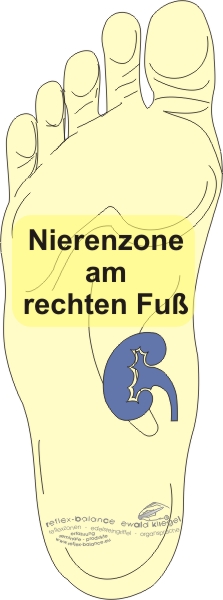 Reflexzonen Nierenzone am rechten Fu&szlig;