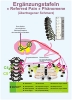 Reflexzonen Erg&auml;nzungstafeln - &laquo; Referred Pain &raquo; Ph&auml;nomene