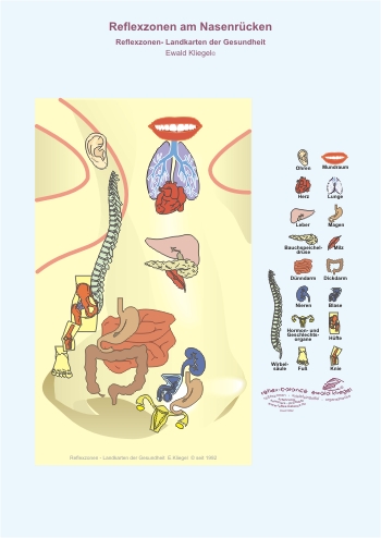 Reflexzonen am Nasenr&uuml;cken