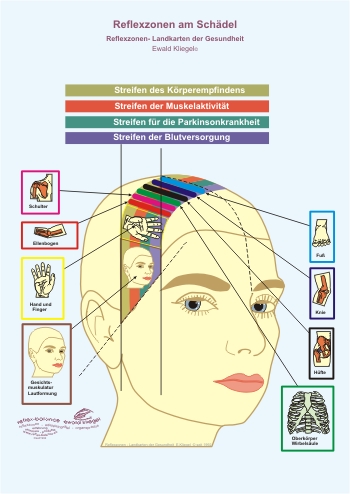 Reflexzonen am Sch&auml;del