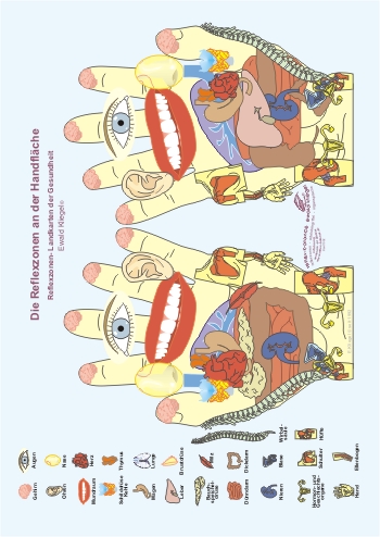 Reflexzonen an den H&auml;nden - Handfl&auml;che