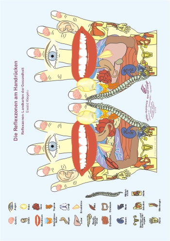 Reflexzonen an den H&auml;nden - Handr&uuml;cken