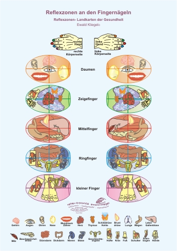 Reflexzonen an den Fingern&auml;geln
