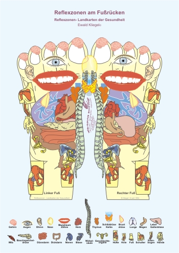 Reflexzonen am Fu&szlig;-R&uuml;cken